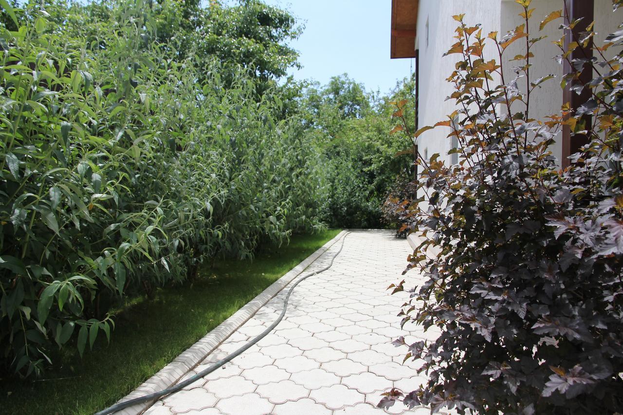 Guest House Leto Dolinka المظهر الخارجي الصورة