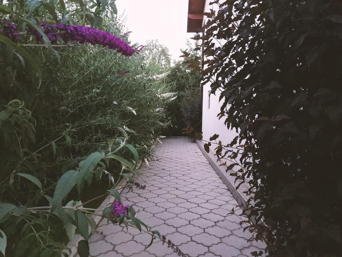 Guest House Leto Dolinka المظهر الخارجي الصورة